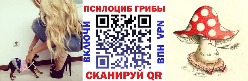 Псилоцибиновые грибы Psilocybine cubensis  Александровское 